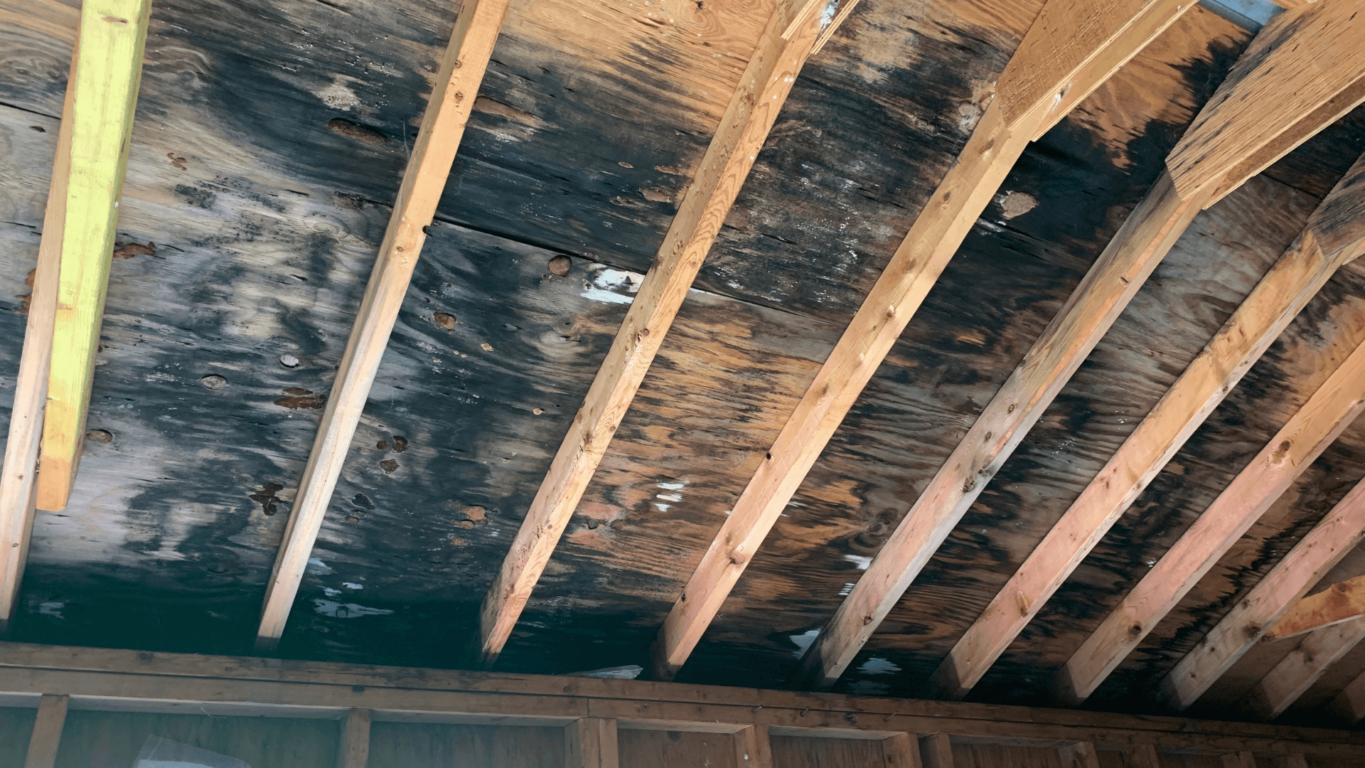 How Asbestos Removal in Military Bases Ensures Safety and Compliance