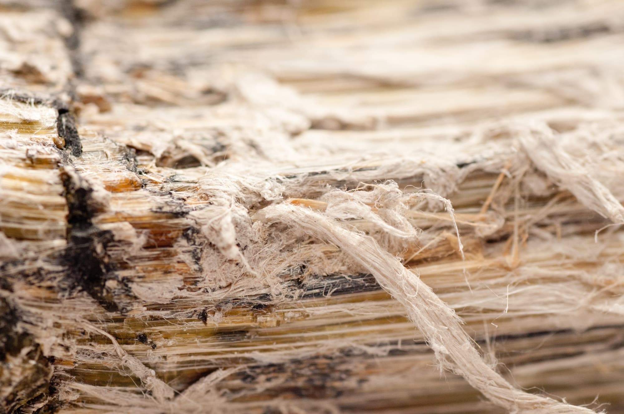 Best Asbestos Removal Company Near Me: Safe & Certified Abatement in California